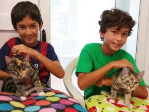 Biscuit and Triscuit Adopted Aug 25 2017