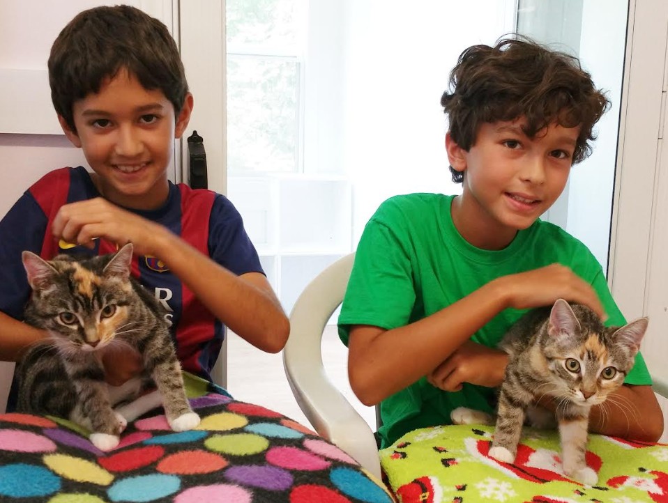 Biscuit and Triscuit Adopted Aug 25 2017