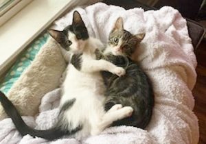 Peas & Pod Snuggling - Aug 2021