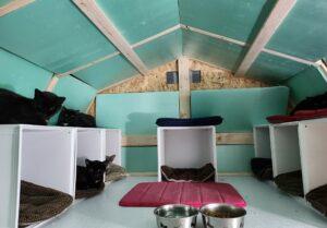 Inside FURR's new shed March 2023