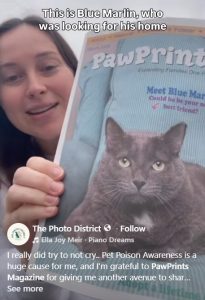 Blue Marlin - PawPrints Magazine cover kitty - March 2026