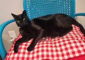 Autumn-relaxing-10-09-2024