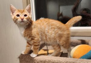 Bridgett-posing-June-24-2024