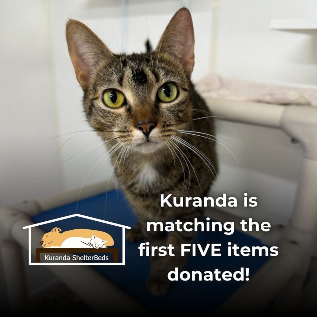 Kuranda-Matching-Campaign-Sept-2025