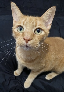 Tigger posing 12-01-24