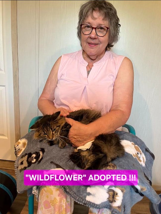 Wildflower Adopted - July 2026