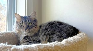 Minnie - Feb 2026