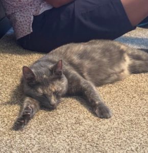 Salvie in her new home - July 2026
