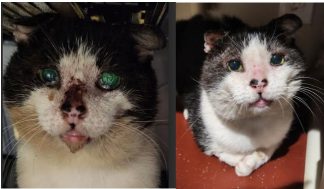 Marty before and after - April 2026