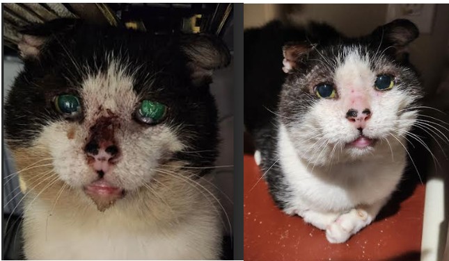 Marty before and after - April 2026