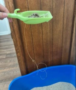 Fishing line dangerous to cats - Feb 2026