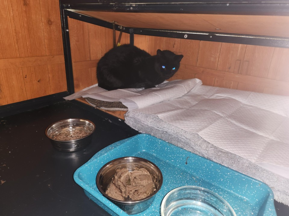 Flounder recovering Feb 25 2026