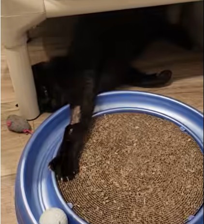 Flounder update March 27 2026