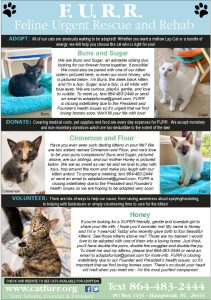 FURR in PawPrints - Closing Ad July 2026- pg 2 of 2