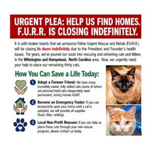 FURR PawPrints Ad July 2026 - cropped feature image