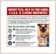 FURR PawPrints Ad July 2026