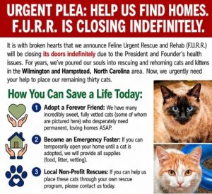 PawPrints Ad July 2026