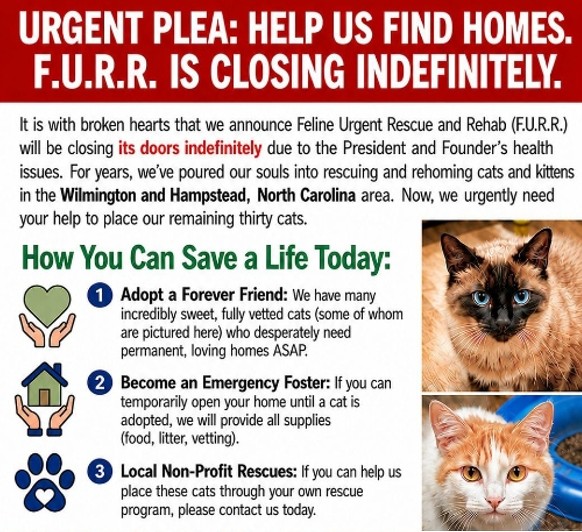 PawPrints Ad July 2026
