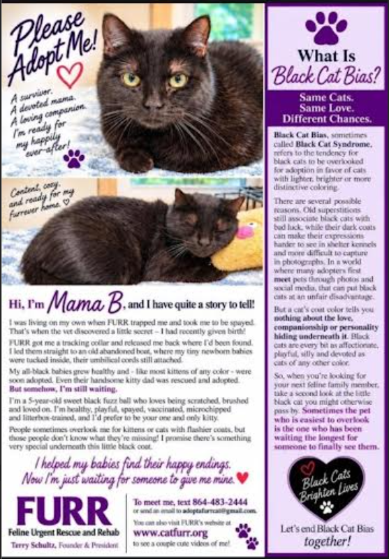 Mama Batts PawPrints ad - Oct 2026