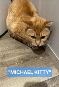 Michael becomes Michelle - Sept 2026