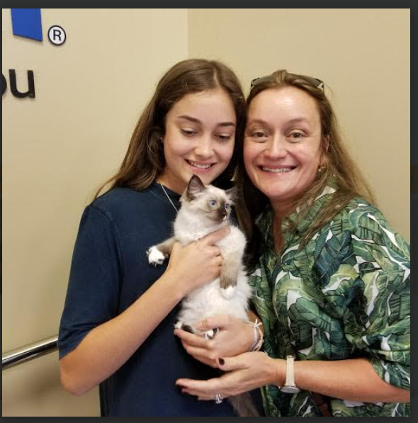 Meezer kitten 3 with new Family - Sept 2017